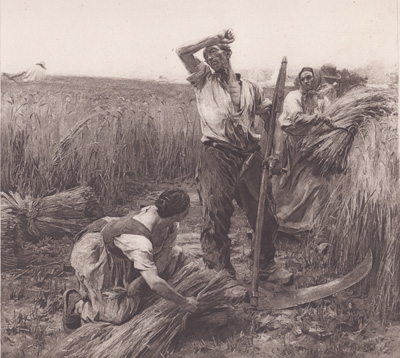 The Harvest
from the painting by L.A. L'Hermitte